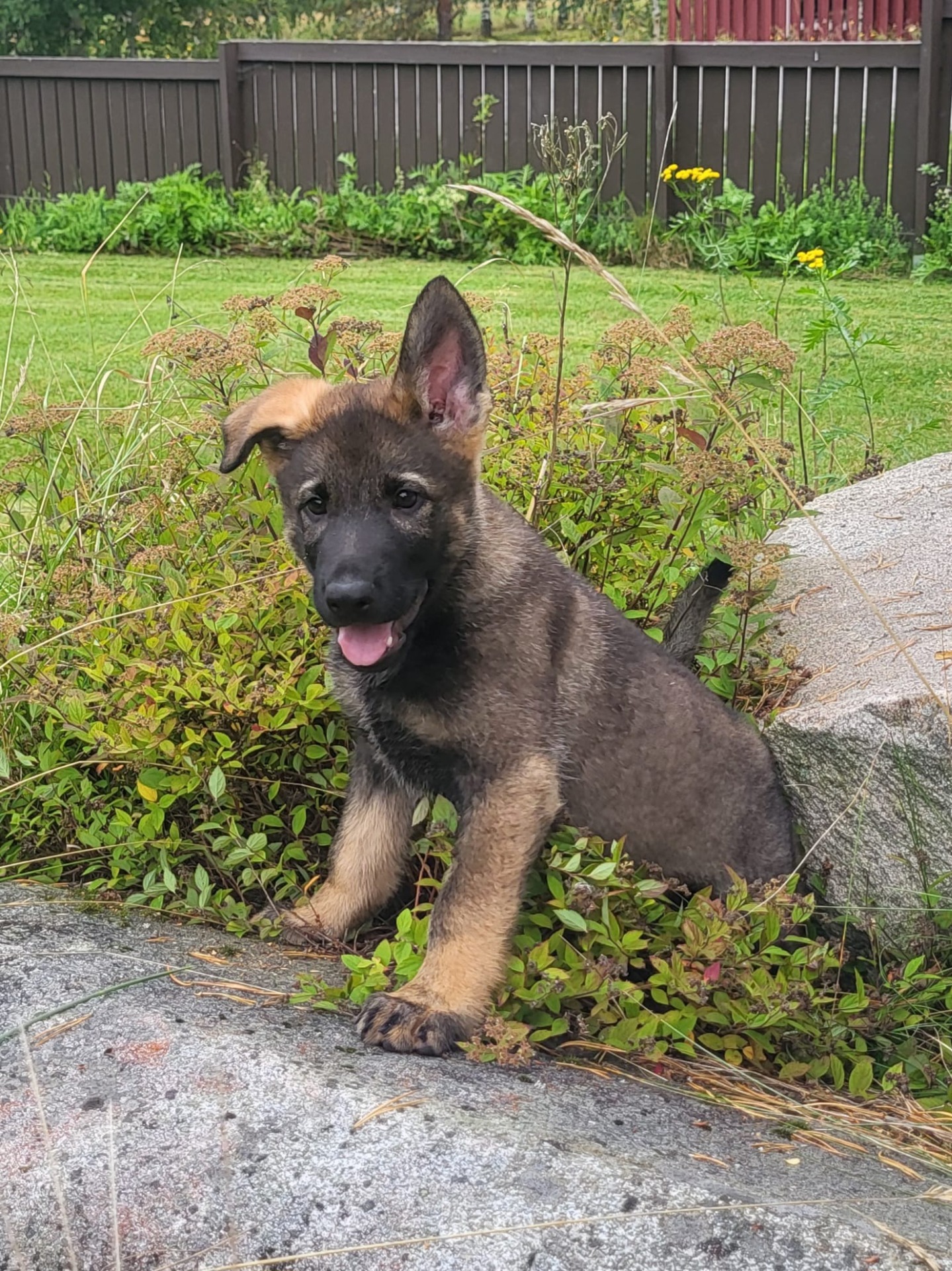 Kuva Miia Sillanpää