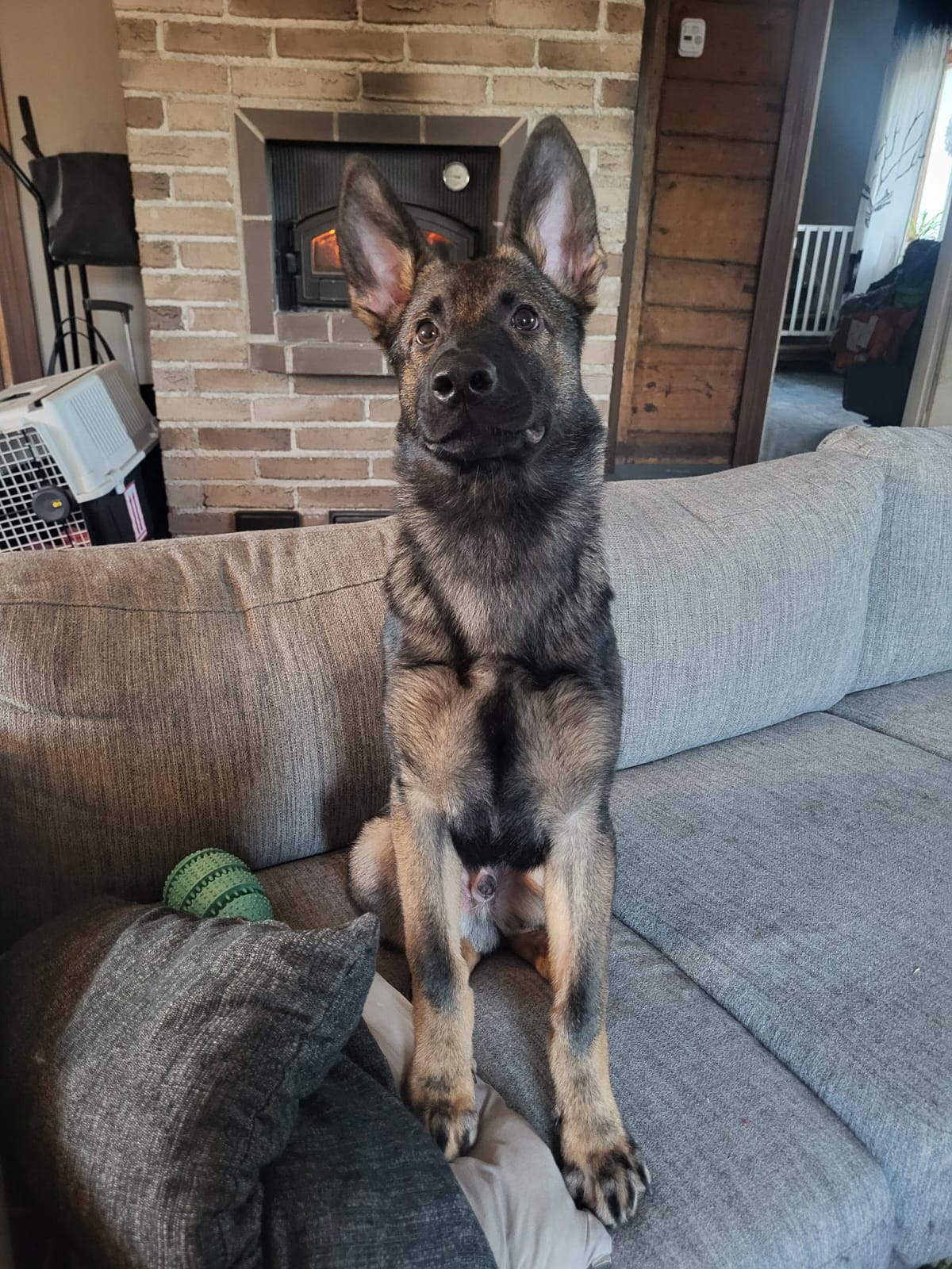 Kuva Miia Sillanpää