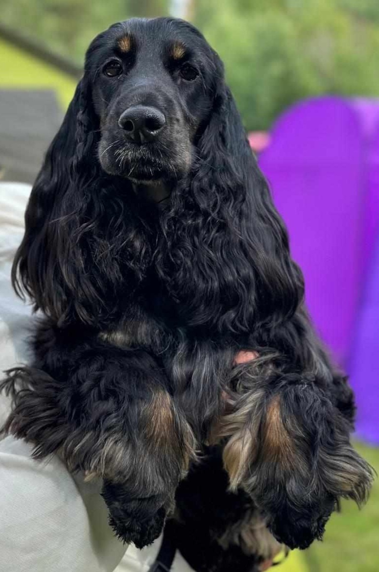 Kuva Emilia Rantanen