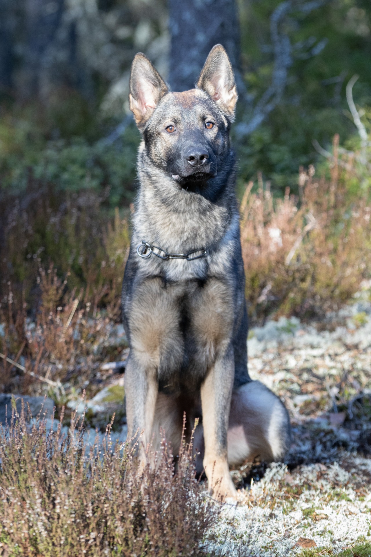Kuva Emilia Rantanen