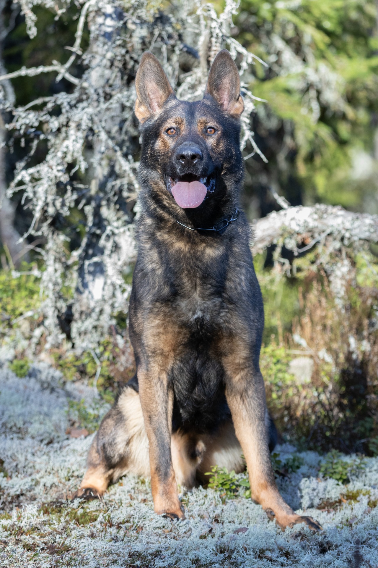 Kuva Emilia Rantanen